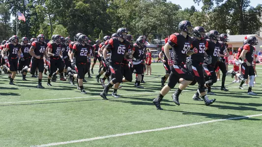 Photo of the 2017 football team running out
