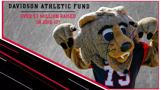 Graphic for the Davidson Athletic Fund