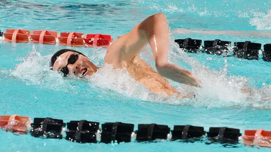 Taylor Willenbring, 2016-17