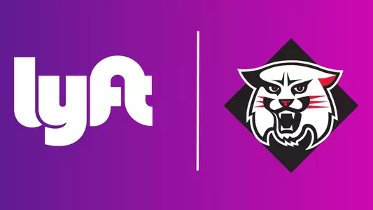 Graphic for Lyft Story