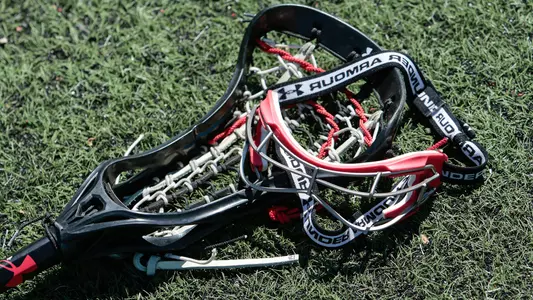 lax sticks