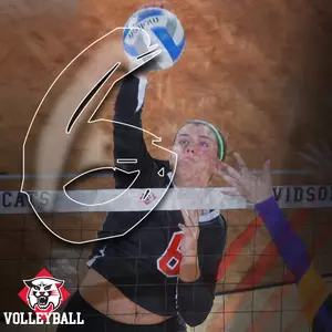 volleyball