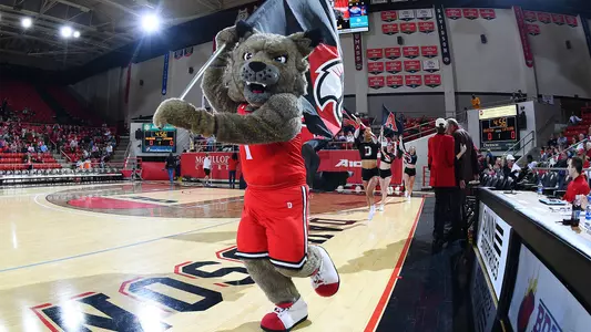 A photo of Davidson Wildcat mascot, Lux