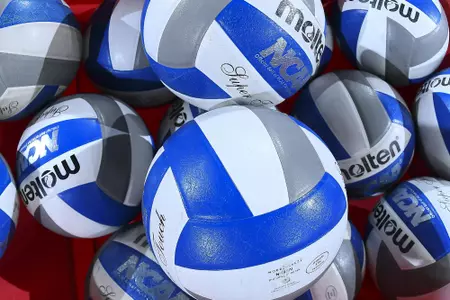 Volleyballs