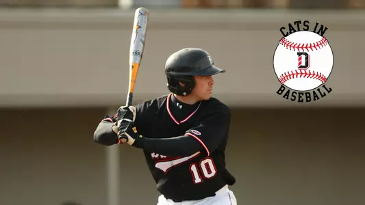 Jay Heafner 'Cats in Baseball