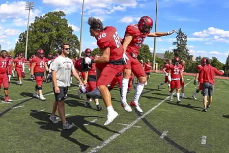 DAV Celly