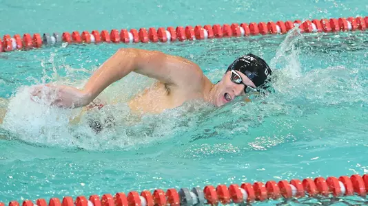 Owen Curry vs Queens