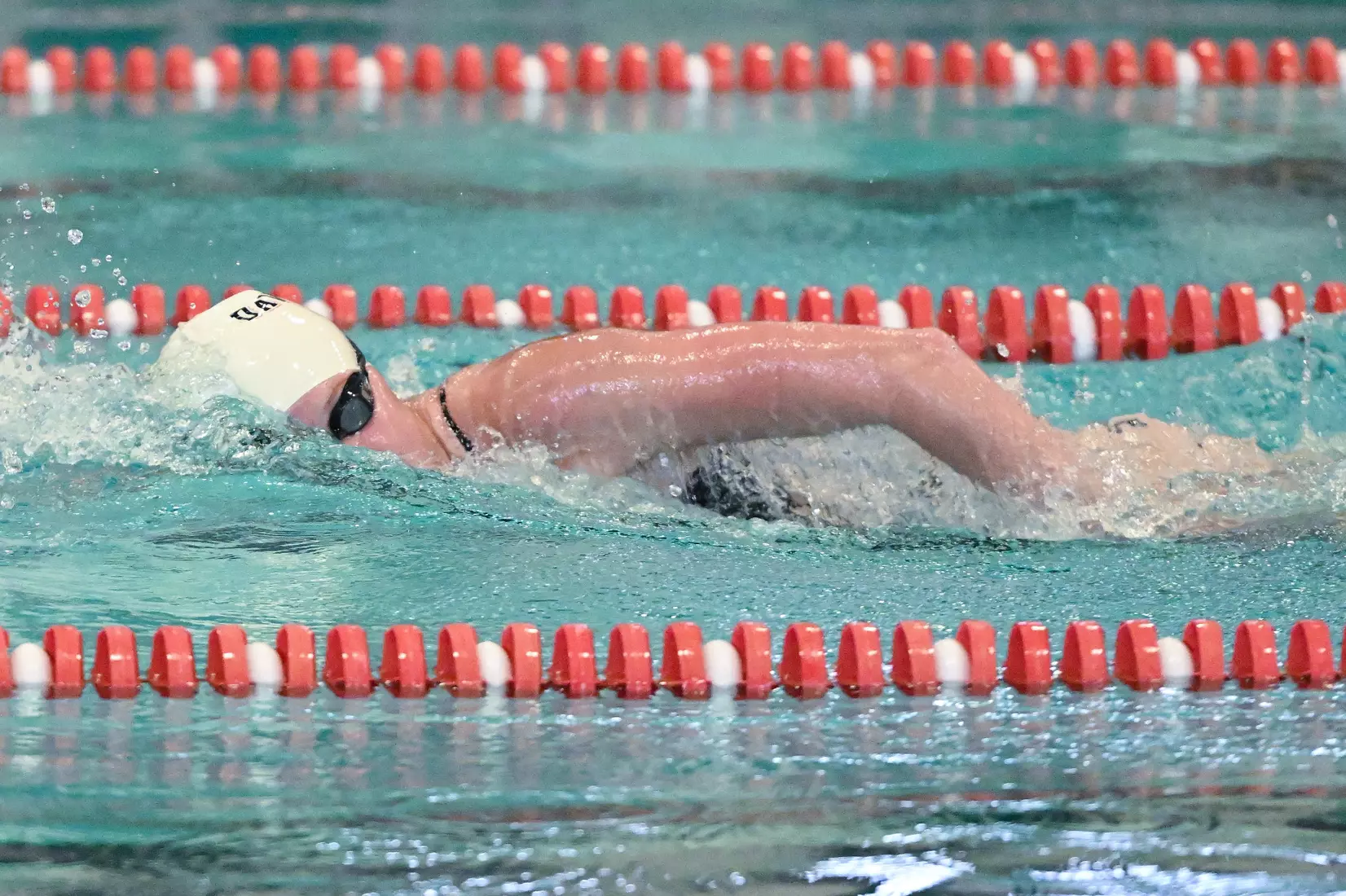 Davidson takes on Gardner-Webb in non-conference swimming action at Charles A. Cannon Pool on Saturday, November 05, 2022 in Davidson, North Carolina.