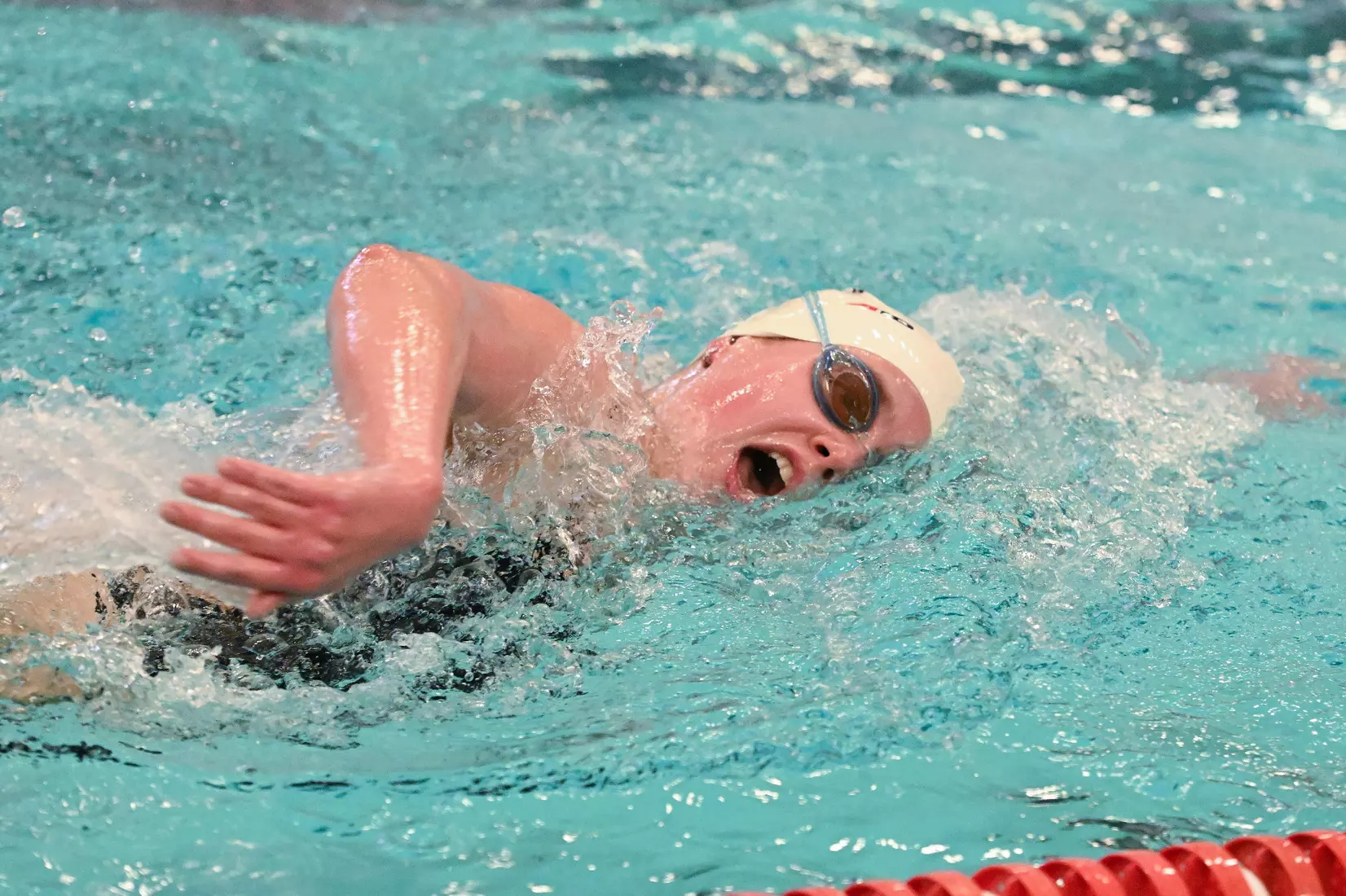 Davidson takes on Gardner-Webb in non-conference swimming action at Charles A. Cannon Pool on Saturday, November 05, 2022 in Davidson, North Carolina.