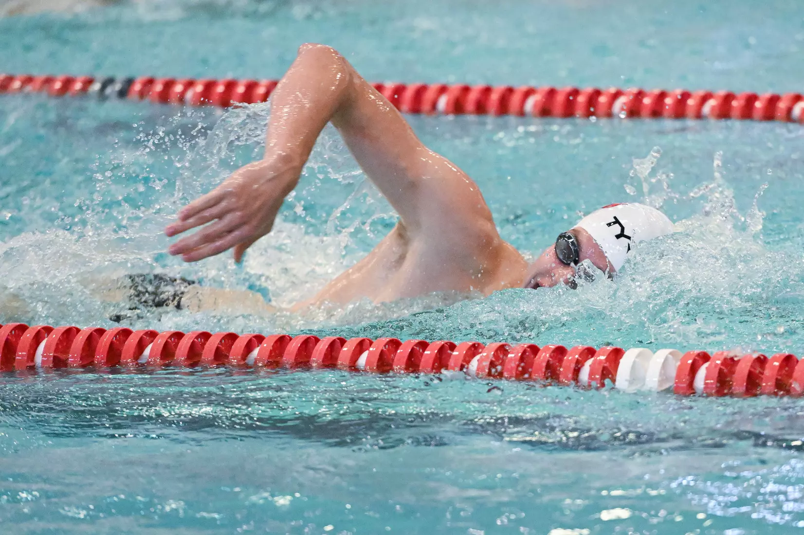 Davidson takes on Gardner-Webb in non-conference swimming action at Charles A. Cannon Pool on Saturday, November 05, 2022 in Davidson, North Carolina.