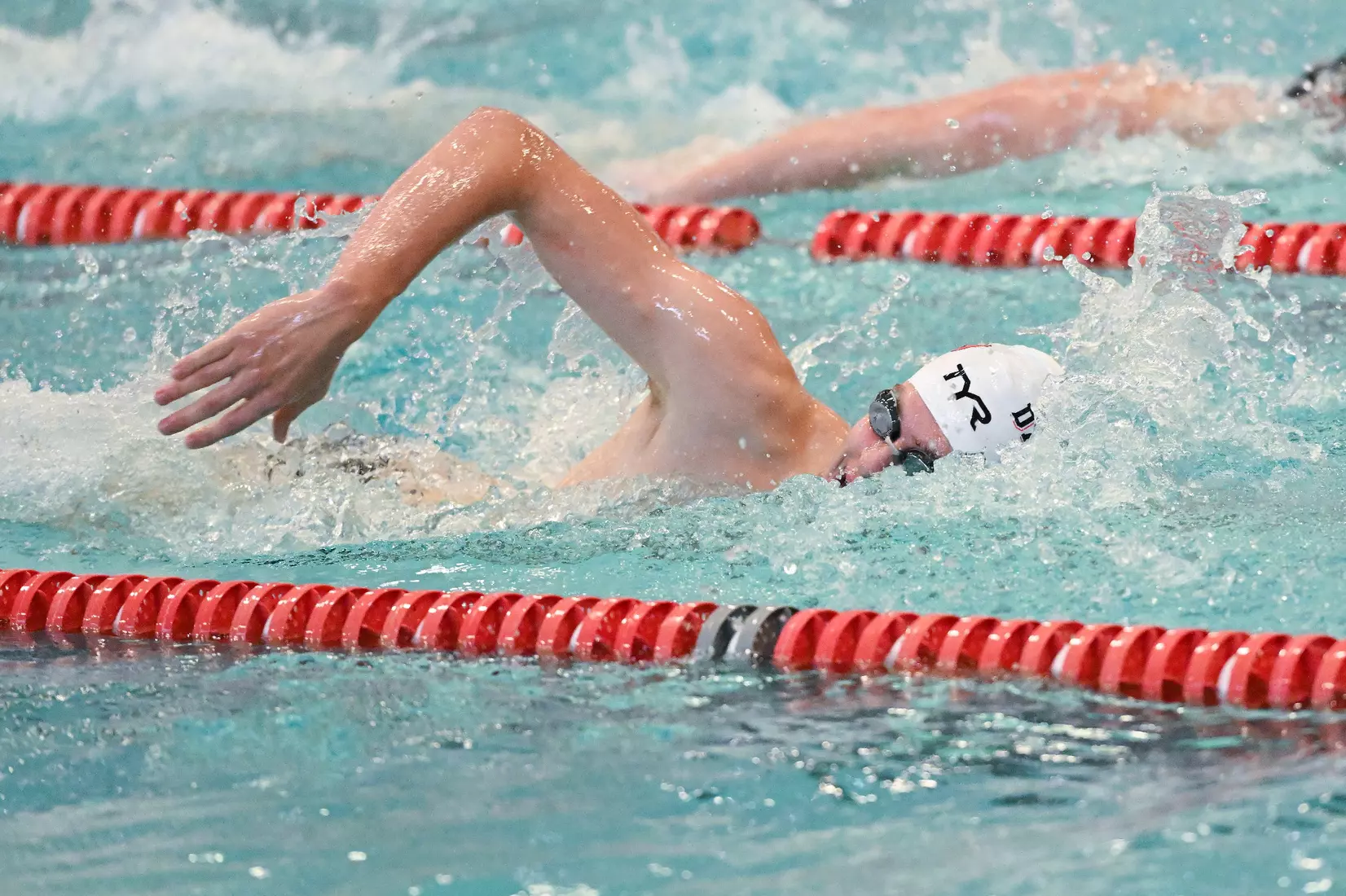 Davidson takes on Gardner-Webb in non-conference swimming action at Charles A. Cannon Pool on Saturday, November 05, 2022 in Davidson, North Carolina.