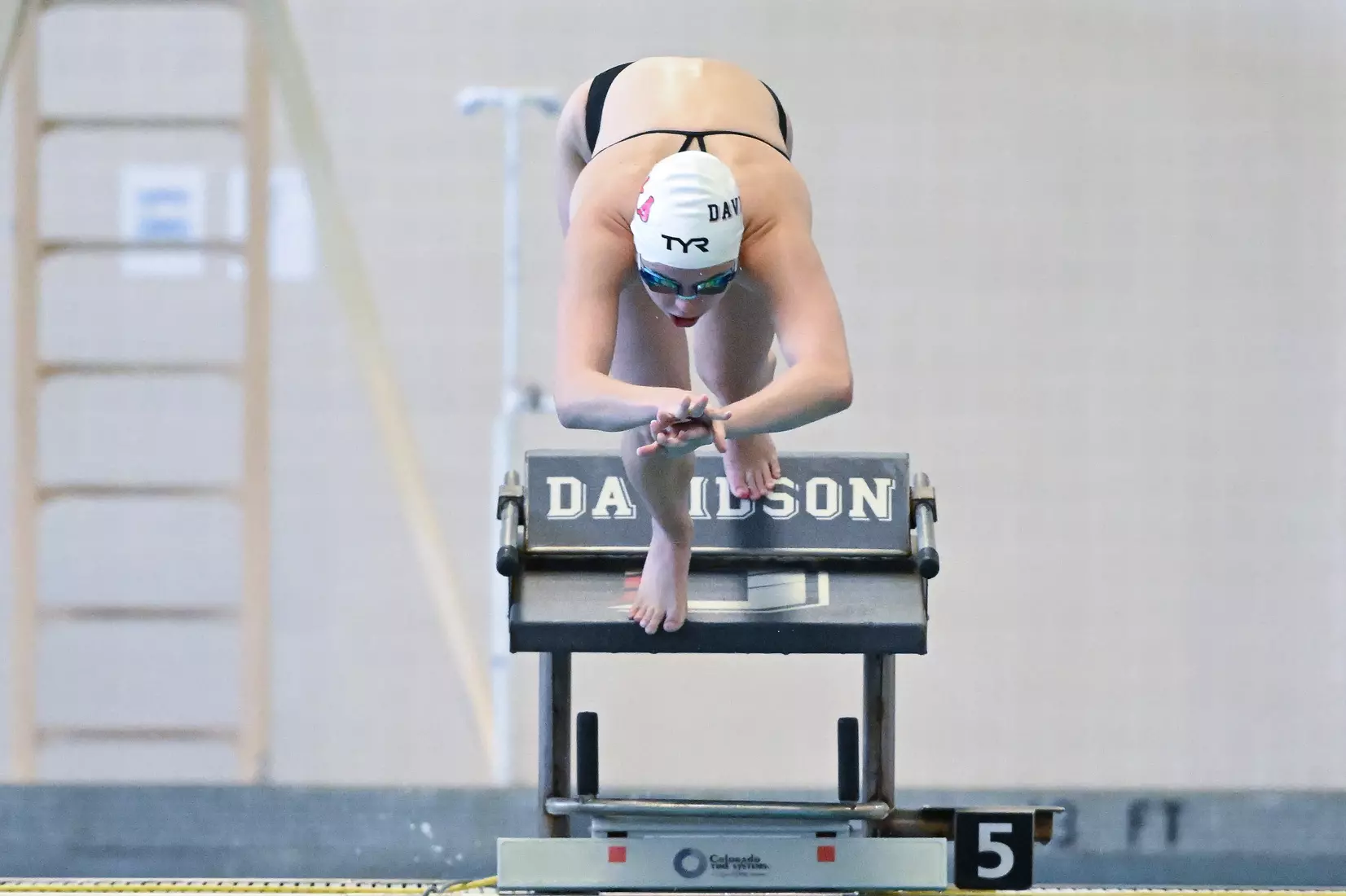 Davidson takes on Gardner-Webb in non-conference swimming action at Charles A. Cannon Pool on Saturday, November 05, 2022 in Davidson, North Carolina.
