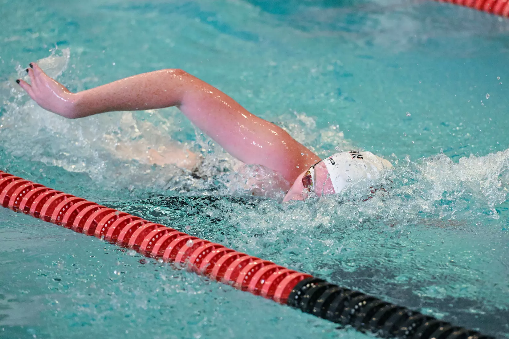 Davidson takes on Gardner-Webb in non-conference swimming action at Charles A. Cannon Pool on Saturday, November 05, 2022 in Davidson, North Carolina.