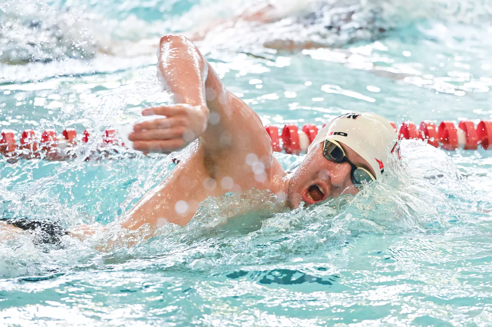 Davidson takes on Gardner-Webb in non-conference swimming action at Charles A. Cannon Pool on Saturday, November 05, 2022 in Davidson, North Carolina.