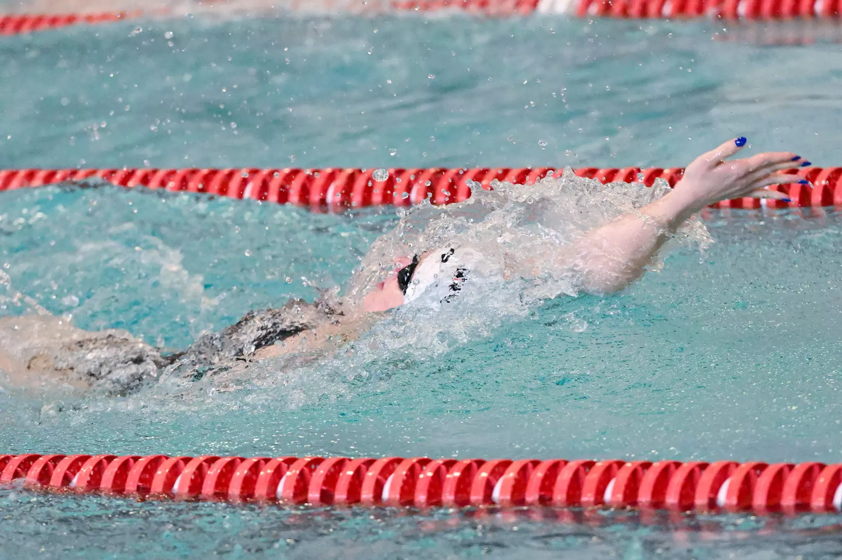 Davidson takes on Gardner-Webb in non-conference swimming action at Charles A. Cannon Pool on Saturday, November 05, 2022 in Davidson, North Carolina.
