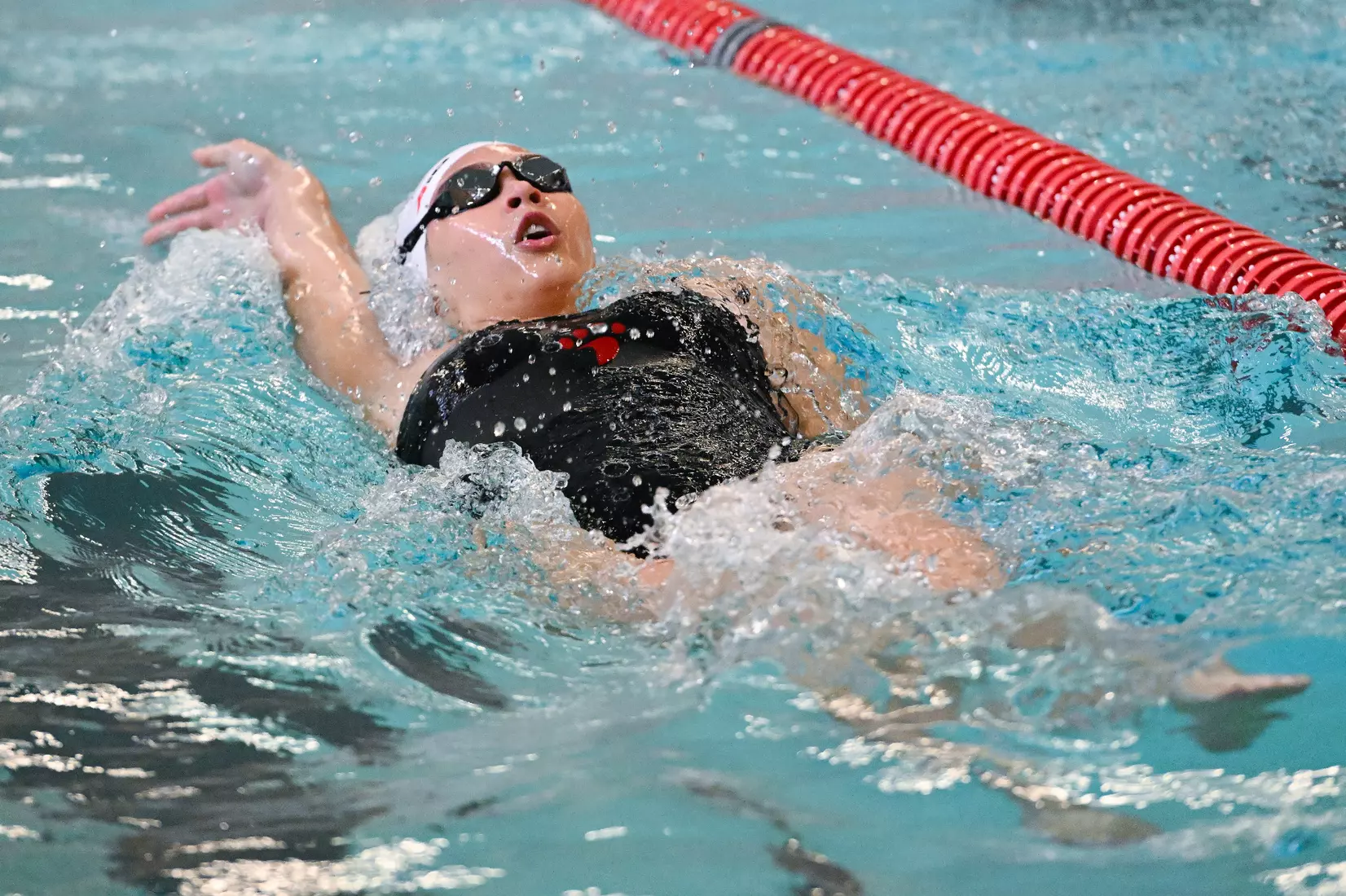 Davidson takes on Gardner-Webb in non-conference swimming action at Charles A. Cannon Pool on Saturday, November 05, 2022 in Davidson, North Carolina.