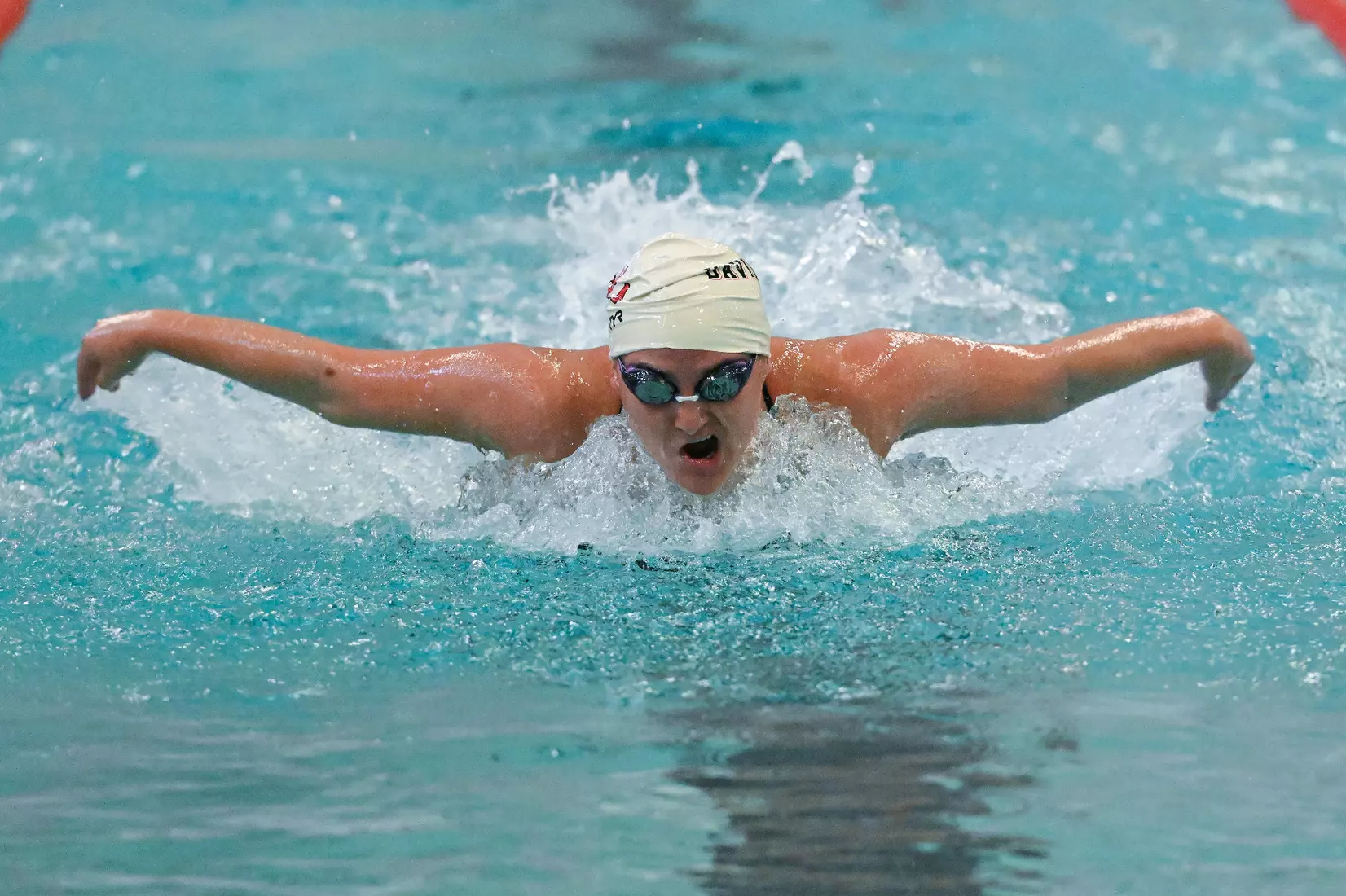 Davidson takes on Gardner-Webb in non-conference swimming action at Charles A. Cannon Pool on Saturday, November 05, 2022 in Davidson, North Carolina.