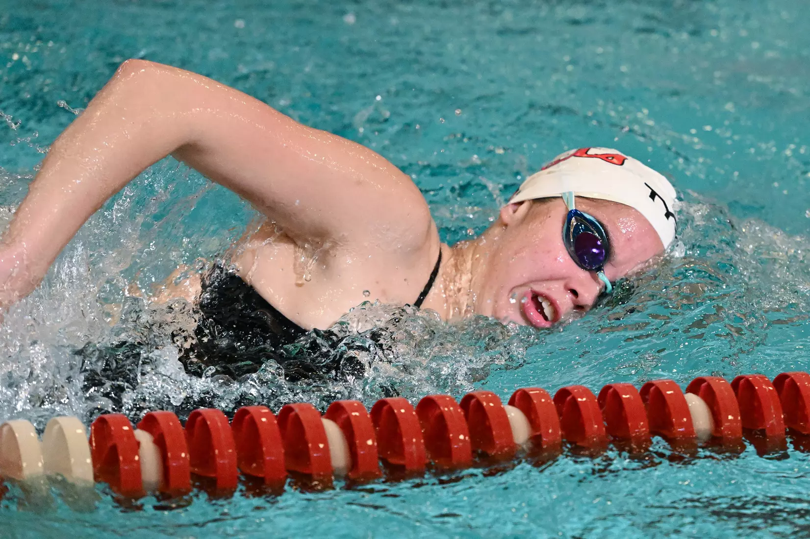 Davidson takes on Gardner-Webb in non-conference swimming action at Charles A. Cannon Pool on Saturday, November 05, 2022 in Davidson, North Carolina.
