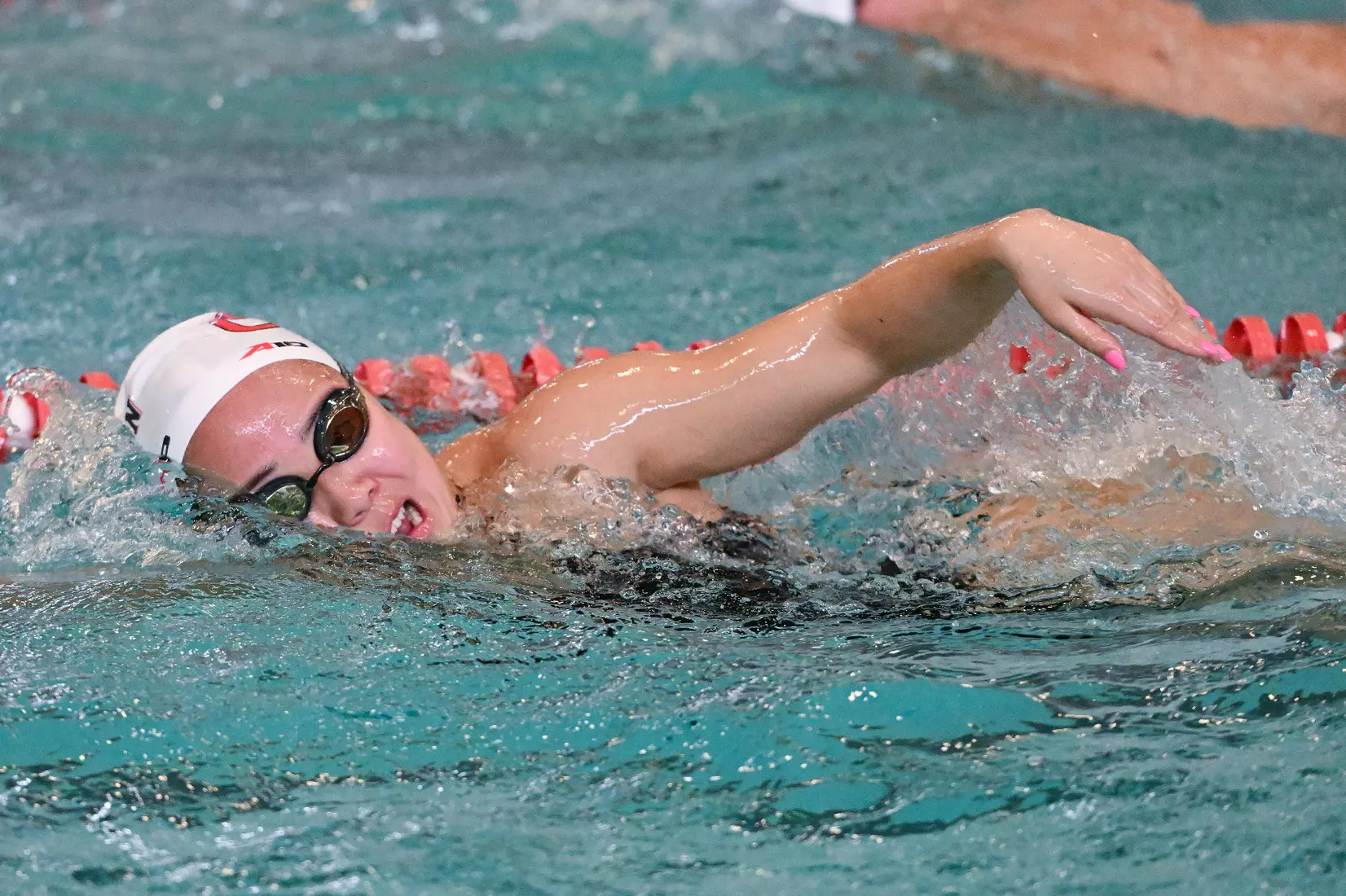 Davidson takes on Gardner-Webb in non-conference swimming action at Charles A. Cannon Pool on Saturday, November 05, 2022 in Davidson, North Carolina.