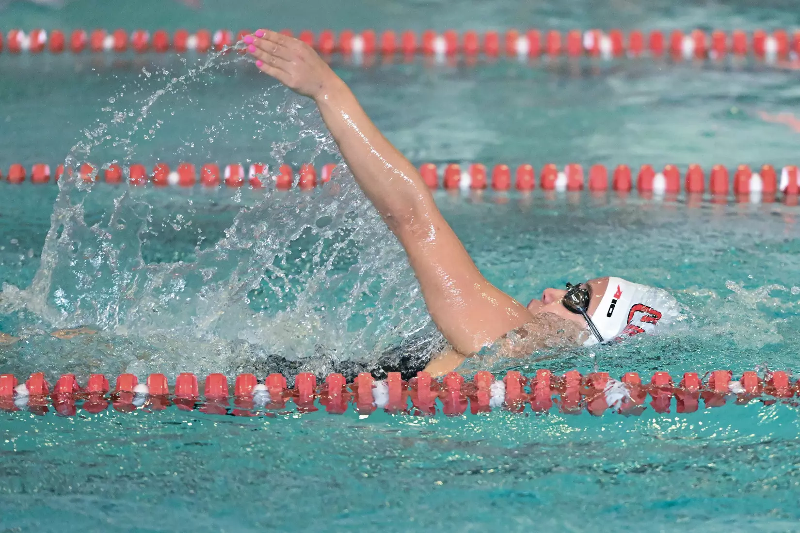 Davidson takes on Gardner-Webb in non-conference swimming action at Charles A. Cannon Pool on Saturday, November 05, 2022 in Davidson, North Carolina.