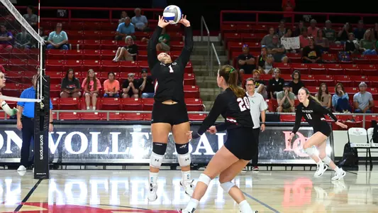 VB 2024 season Xuan Nguyen