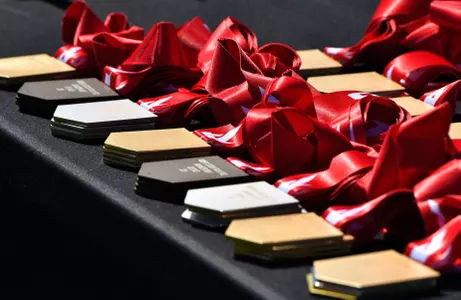 A-10 Medals