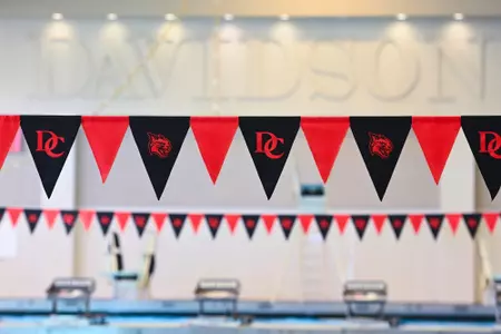 Cannon Pool flags 24
