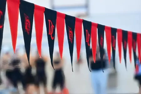 swim flags