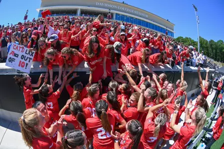 crowd and fans