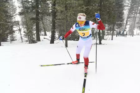 Emma Larsson
