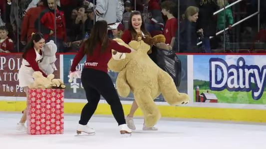 Teddy Bear Toss