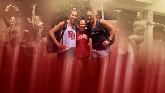 2018 Gymnastics NLI Header