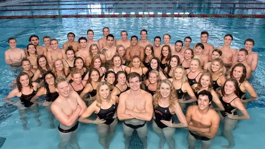 Team