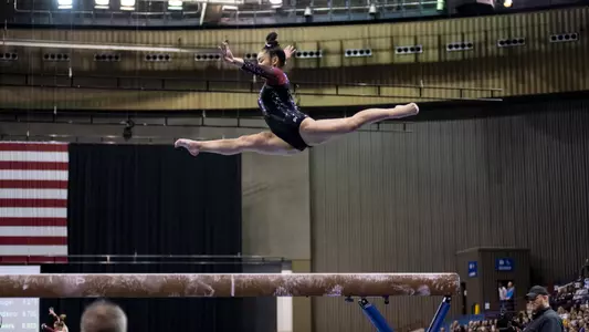 Alexis Vasquez Beam - January 26, 2019