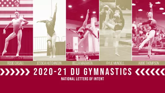 2020-21 Gymnastics NLI Header