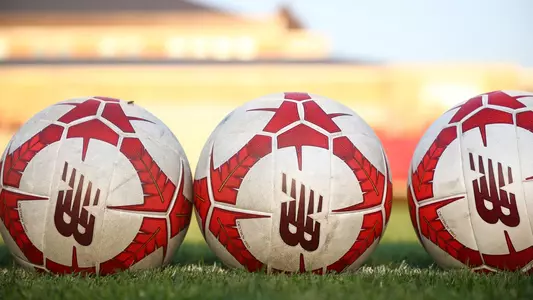 Soccer Balls