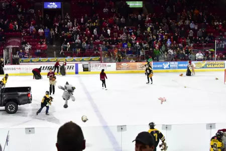 Teddy Bear Toss