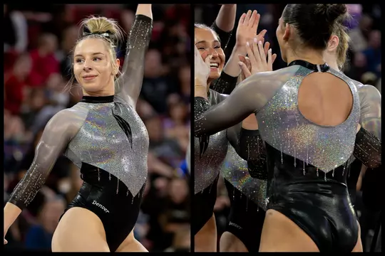 Denver Gymnastics Leotard Encyclopedia - Arrow