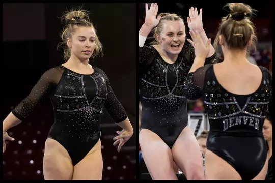 Denver Gymnastics Leotard Encyclopedia - Ice Skater