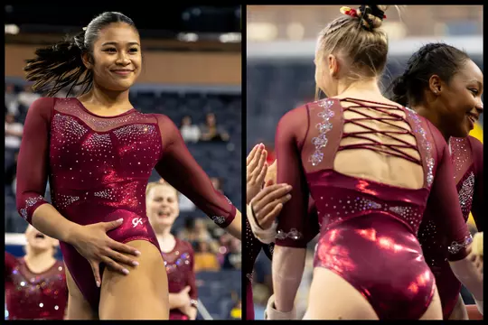 Denver Gymnastics Leotard Encyclopedia - Rose