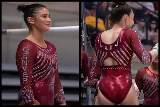 Denver Gymnastics Leotard Encyclopedia - Triangle