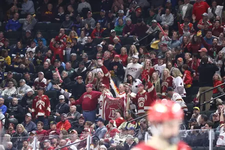 ST PAUL, MINNESOTA - APRIL 11: Denver Pioneers fans celebrate against the Boston University Terriers in the third period during the Division I Men?s Ice Hockey Semifinals held at Xcel Energy Center on April 11, 2024 in St Paul, Minnesota. (Photo by Tyler Schank/NCAA Photos via Getty Images)