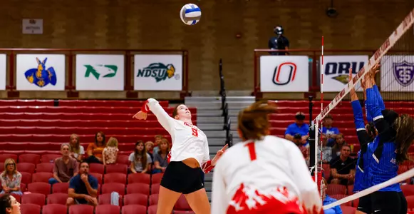 Davis v Air Force