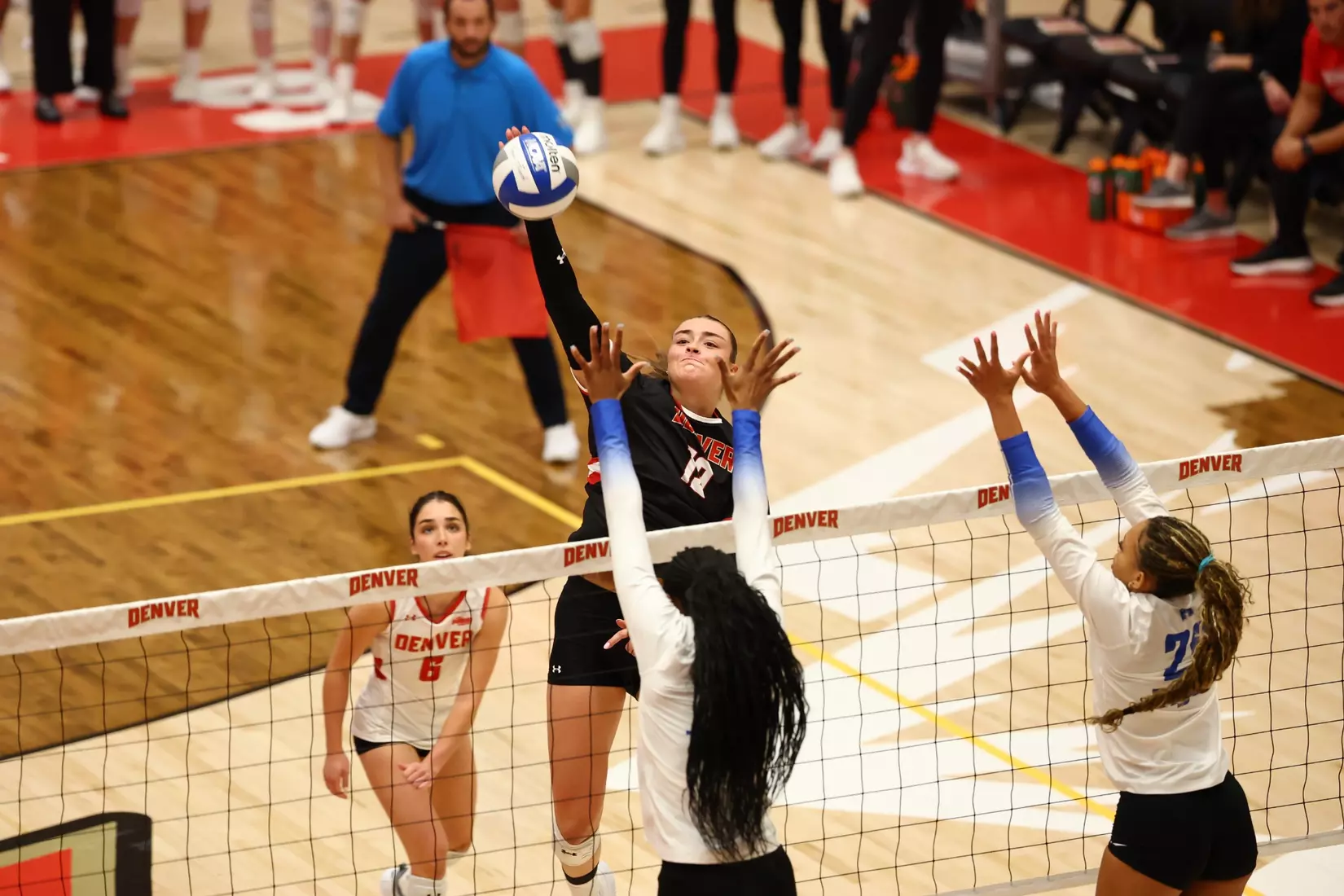 28 AUG 2025: The University of Denver takes on the University of Memphis at Hamilton Gymnasium in Denver, CO. Justin Tafoya/Clarkson Creative Photography