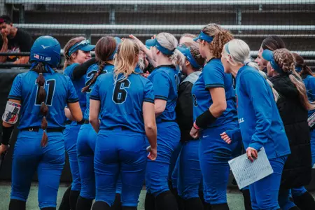 Softball Celebration