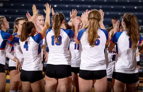 VOlleyball High Five