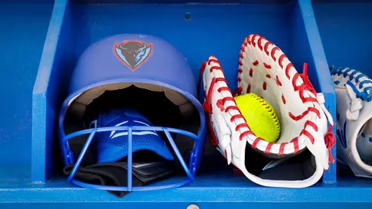 Softball Helmet and Glove