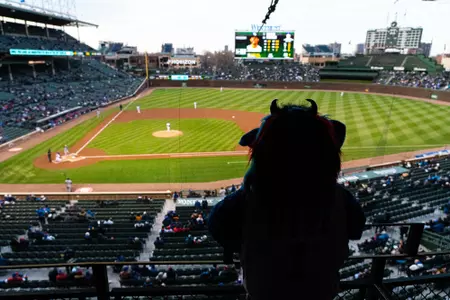 dibs at wrigley field