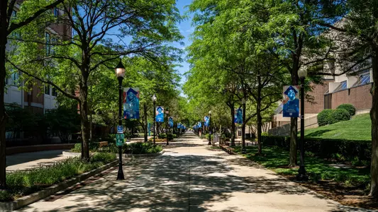 depaul university campus