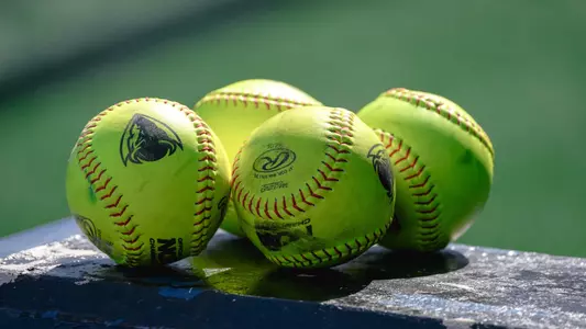 Softball Stock